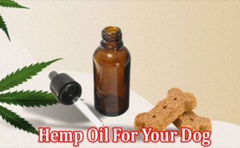 Benefits & Uses Of Hemp Oil For Your Dog
