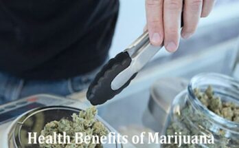 Complete Information About 9 Surprising Health Benefits of Marijuana