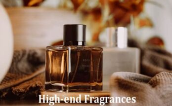 Complete Information About Dossier The Affordable Alternative to Your Favorite High-end Fragrances