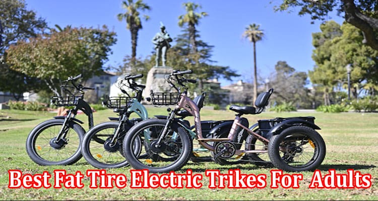 Top Best Fat Tire Electric Trikes For  Adults