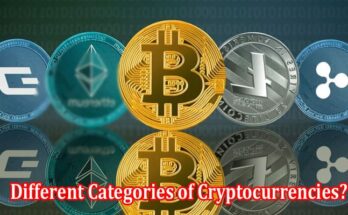 What Are the Different Categories of Cryptocurrencies