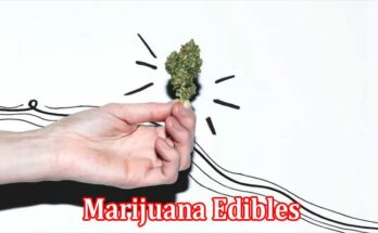 Complete Information About A Beginner’s Guide Things You Need to Know About Marijuana Edibles
