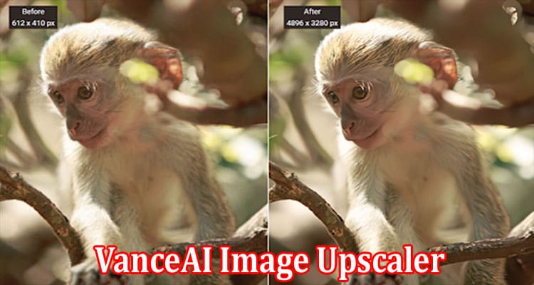 Complete Information About VanceAI Image Upscaler The Best Option for Photo Enlargement