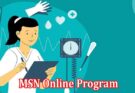 Complete Information About 6 Essential Skills You Can Learn in an MSN Online Program