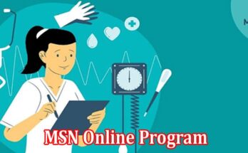 Complete Information About 6 Essential Skills You Can Learn in an MSN Online Program
