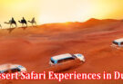 Complete Information About A Photo Journey of the Best Dessert Safari Experiences in Dubai