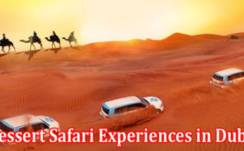 Complete Information About A Photo Journey of the Best Dessert Safari Experiences in Dubai