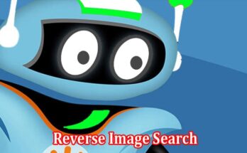 Complete Information About Reverse Image Search Can Help You Find Original Photo Sources