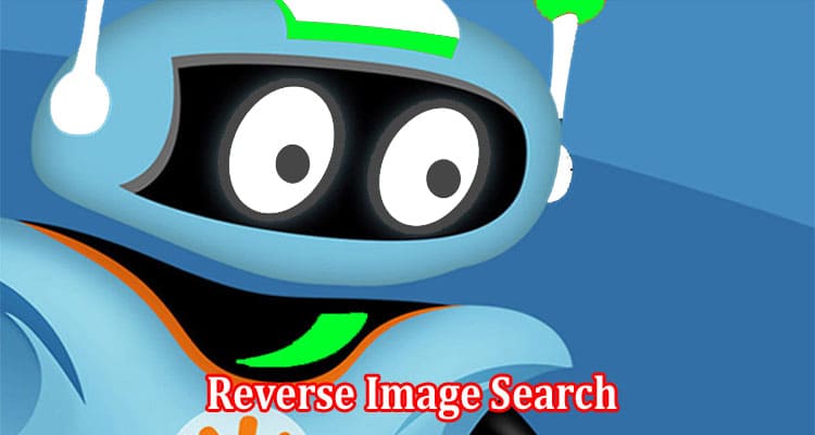 Complete Information About Reverse Image Search Can Help You Find Original Photo Sources