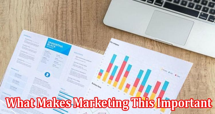 Complete Information About What Makes Marketing This Important