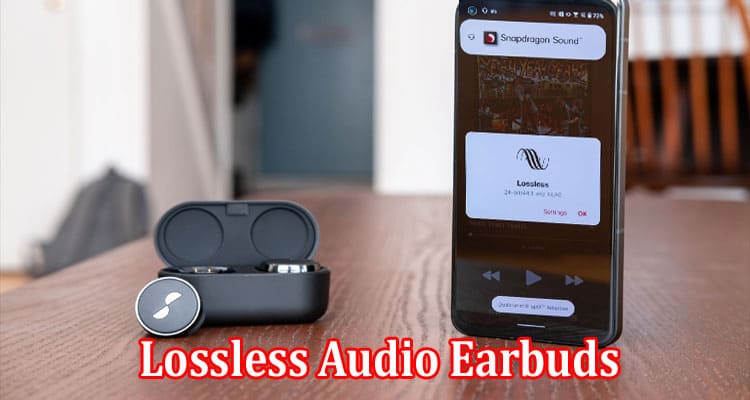 Complete Information About What to Look for When Choosing Lossless Audio Earbuds