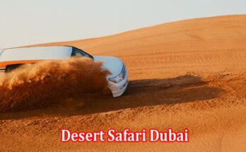 Embracing the Adventure of Desert Safari Dubai