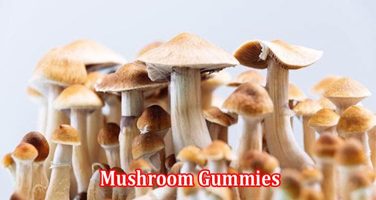 Mushroom Gummies Effects, Common Uses and Safety.