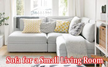 Complete Information About 7 Ways to Choose Sofa for a Small Living Room