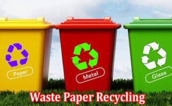 Complete Information About Waste Paper Recycling - Activities of Scientists, Participation of Society