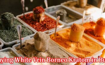 Complete Information About 6 Reasons Why Buying White Vein Borneo Kratom in Bulk Is Advantageous