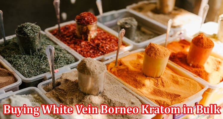 Complete Information About 6 Reasons Why Buying White Vein Borneo Kratom in Bulk Is Advantageous