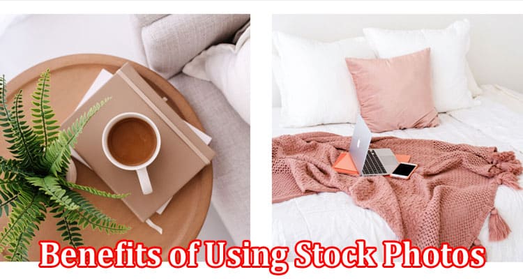 Complete Information About The Benefits of Using Stock Photos in Your Blog Content