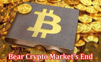 Complete Information About Which Events Are an Indication of the Present Bear Crypto Market’s End