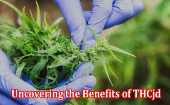 Uncovering the Benefits of THCjd The Rare Cannabinoid You Need to Know About