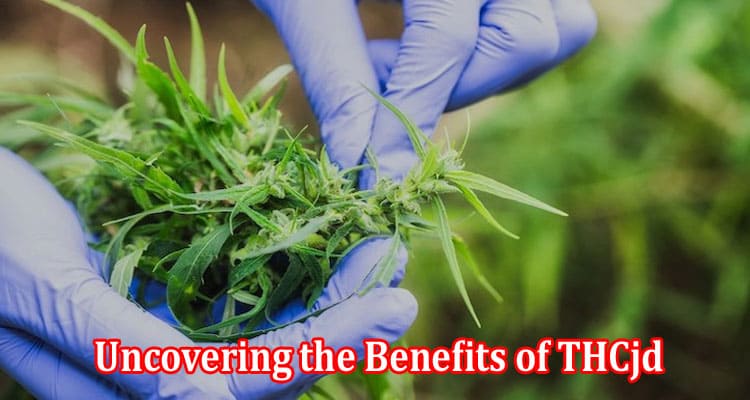 Uncovering the Benefits of THCjd The Rare Cannabinoid You Need to Know About