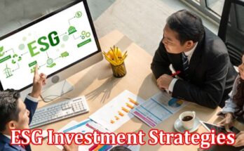 Complete Information About ESG Investment Strategies - How to Invest Responsibly and Make a Positive Impact