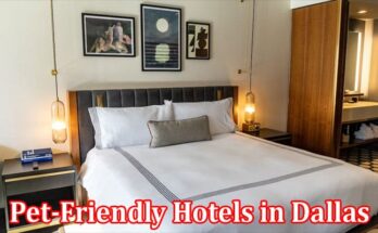 Complete Information About Top Amenities to Look For in Pet-Friendly Hotels in Dallas