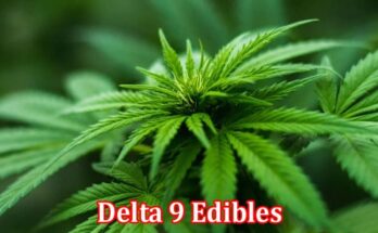Complete Information About What Are the Qualities That Make Delta 9 Edibles Special