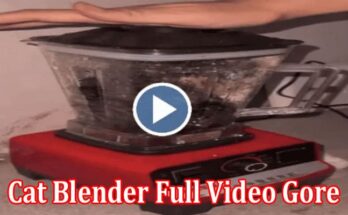 Latest News Cat Blender Full Video Gore
