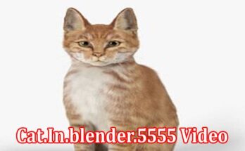 Latest News Cat.in.blender.5555 Video