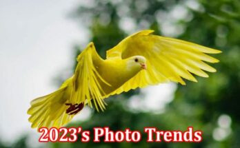 Complete Information About 2023’s Photo Trends - All One Need to Know About Them
