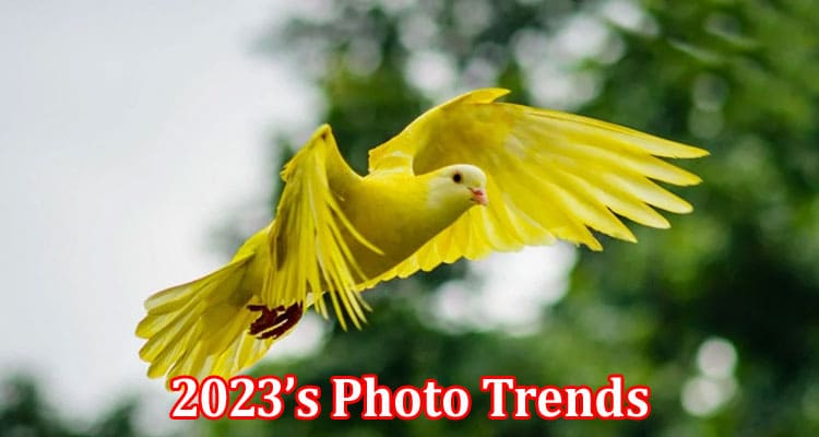 Complete Information About 2023’s Photo Trends - All One Need to Know About Them