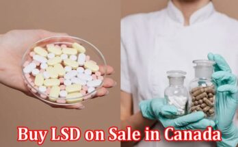 Complete Information About How to Buy LSD on Sale in Canada