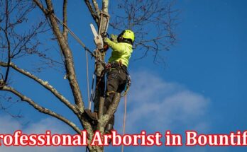 Complete Information About Professional Arborist in Bountiful - Tree Health and Maintenance