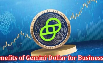 Complete Information About The Benefits of Gemini Dollar for Businesses