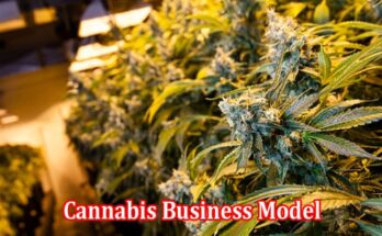 How to Choose the Right Cannabis Business Model