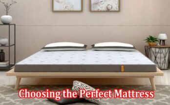 A Comprehensive Guide to Choosing the Perfect Mattress