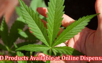 Complete Information About Top CBD Products Available at Online Dispensary Canada This 2023