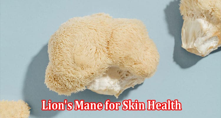 The Surprising Benefits of Lion's Mane for Skin Health 