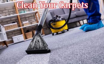 Complete Information About How Often Should You Clean Your Carpets - A Comprehensive Schedule
