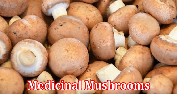 Complete Information About Medicinal Mushrooms - Nature’s Personal Bodyguards Against Free Radicals