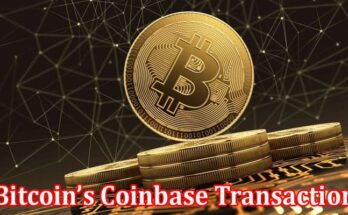 Complete Information About Uncovering the Bitcoin’s Coinbase Transaction - Rewards and Scripts