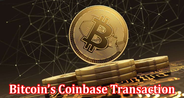 Complete Information About Uncovering the Bitcoin’s Coinbase Transaction - Rewards and Scripts