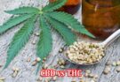CBD vs THC A Comprehensive Overview of Differences
