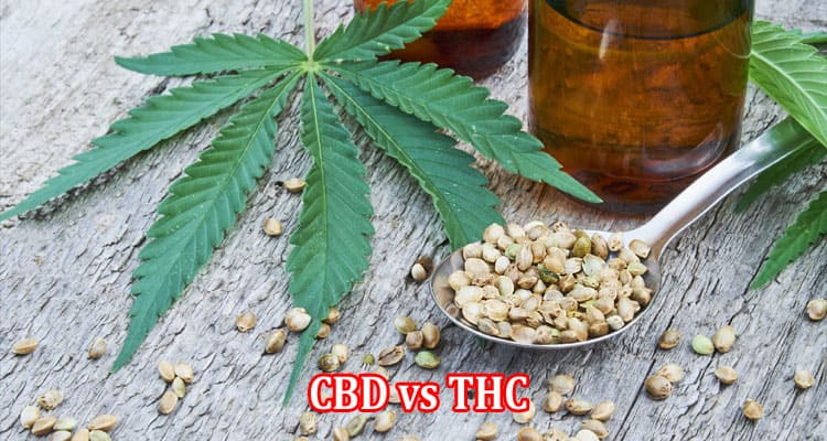 CBD vs THC A Comprehensive Overview of Differences