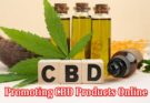 An In-Depth Guide to Promoting CBD Products Online