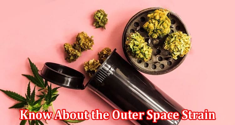 Complete Information About Everything You Need to Know About the Outer Space Strain