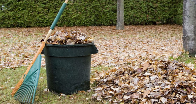How to Get Great Services for Your Garden Removal Needs