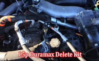 L5p Duramax Delete Kit Will Give Us the Right and Permanent Solution