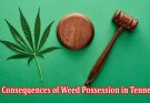 Complete Information The Consequences of Weed Possession in Tennessee
